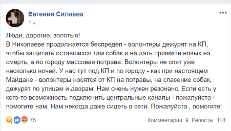 "Будь ласка, допоможіть!" Зоозахисники розповіли про жахіття в Миколаєві 