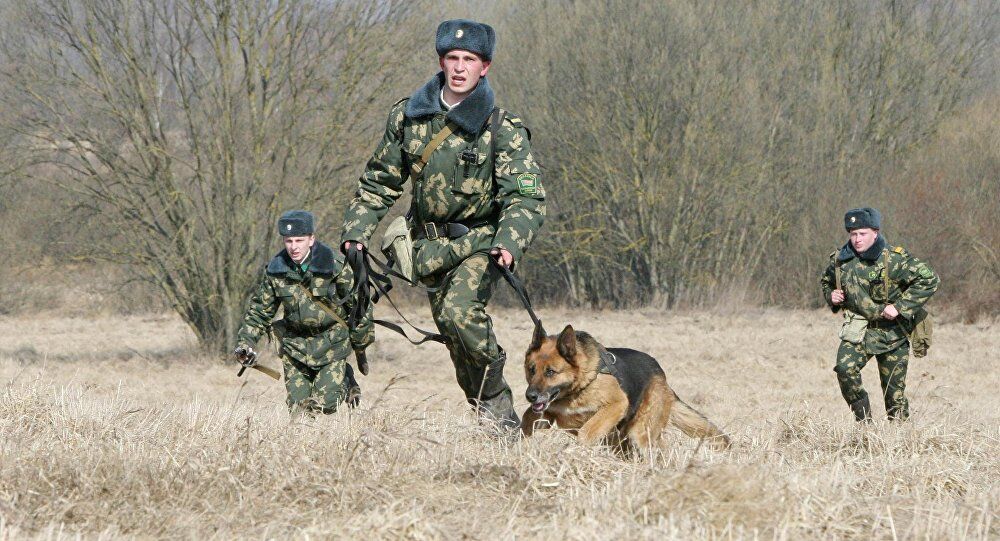 Українців позбавили тисяч робочих місць, а держбюджет - мільярдів: чим загрожує вето Порошенка