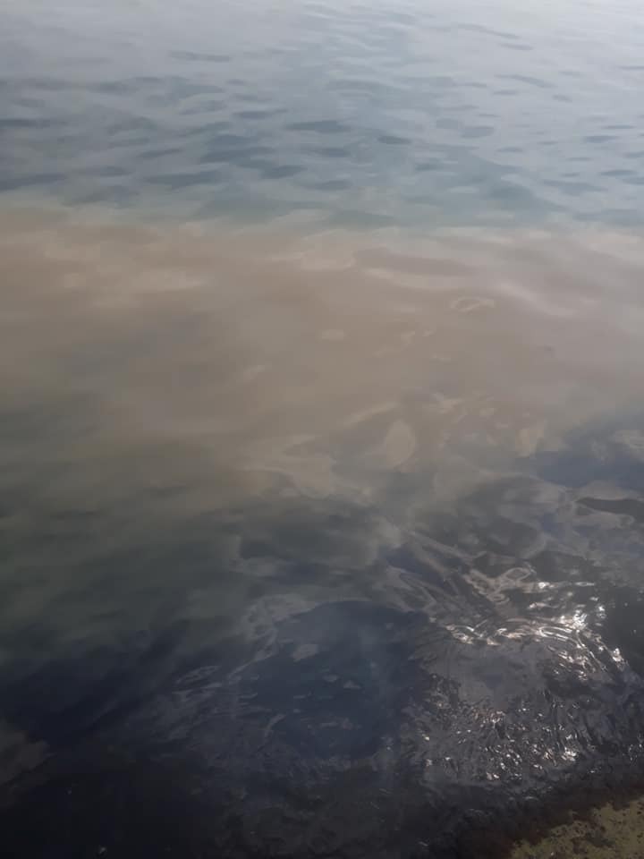 Нечистоти від дельфінарію "Немо" в Одесі