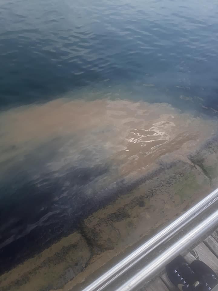 Нечистоты от дельфинария "Немо" в Одессе