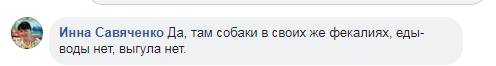 "Животные гниют": церковь в Киеве ужаснула сеть своим поступком