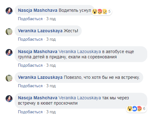 Под Киевом автобус с пассажирами вылетел в кювет: опубликованы первые фото и видео 