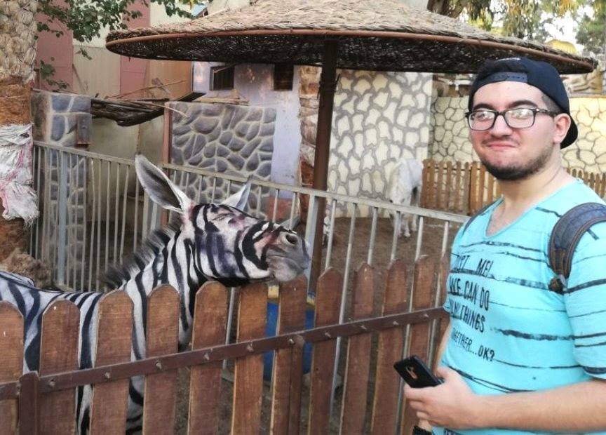 Осли замість зебр: зоопарк у Єгипті спіймали на смішному обмані