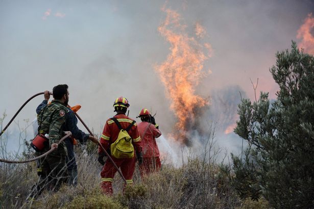 Масштабные лесные пожары охватили Грецию: 50 погибших, более 150 раненых