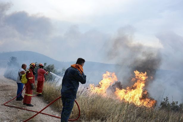 Масштабні лісові пожежі охопили Грецію: 50 загиблих, понад 150 поранених