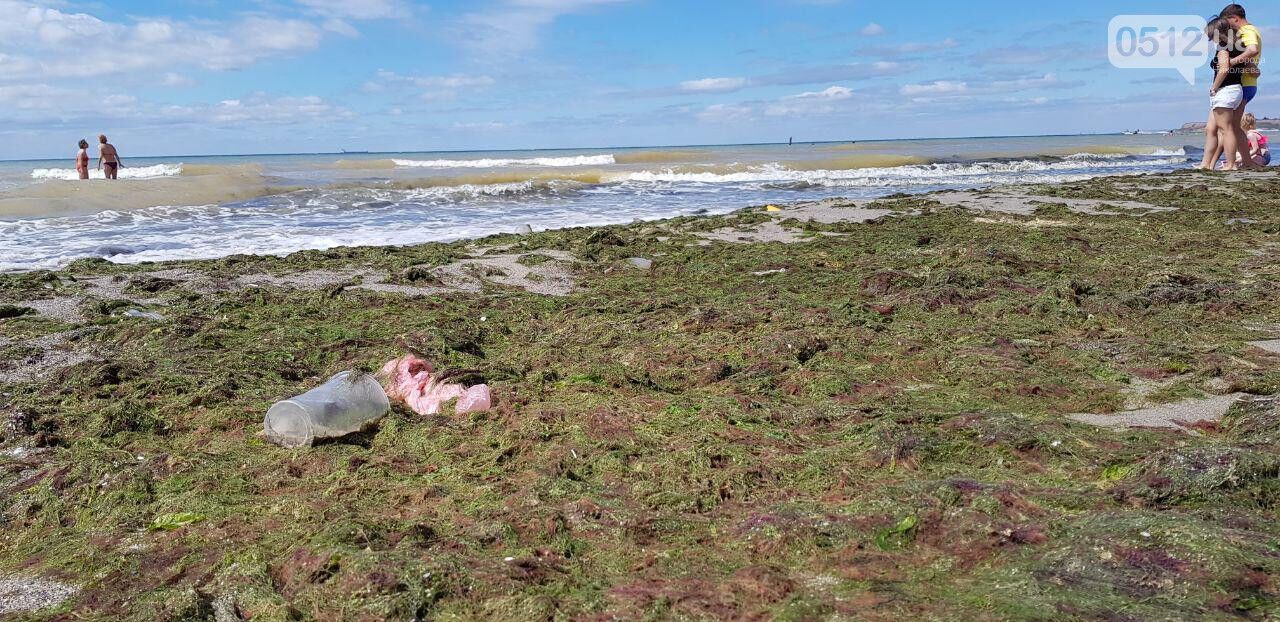 Популярний український курорт "атакували" водорості: фото і відео