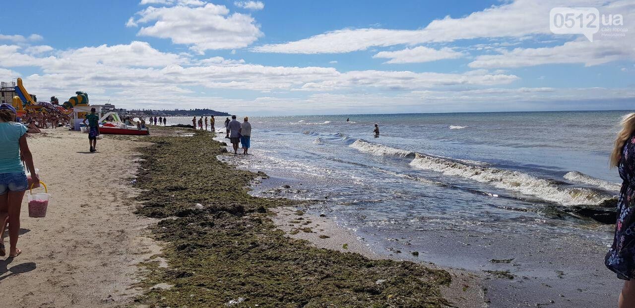 Популярний український курорт "атакували" водорості: фото і відео