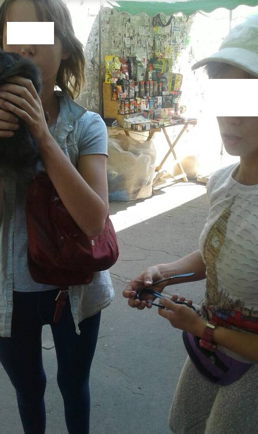 Дівчата, які знущаються на тваринами в Одесі