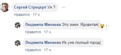 Під Одесою помітили навалу гадів: є фото