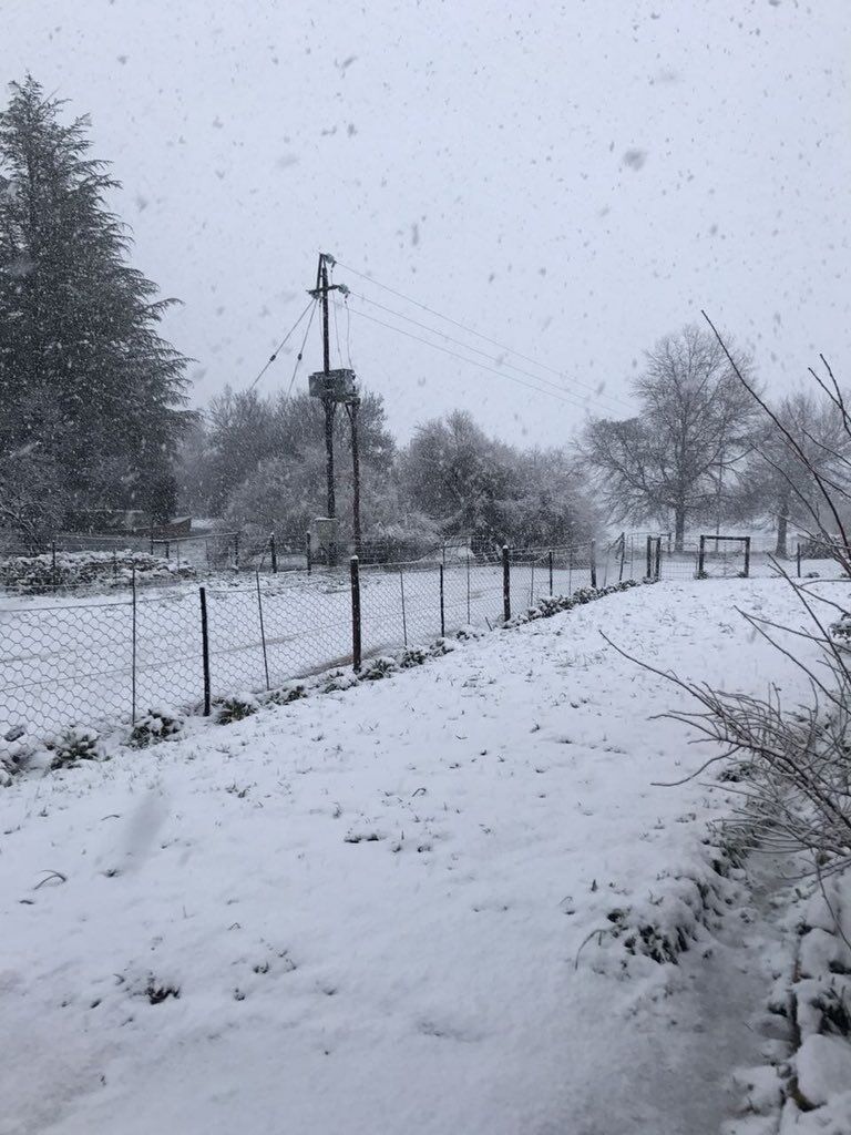 У Південній Африці вперше за 10 років випав сніг: з'явилися фото і відео аномалії