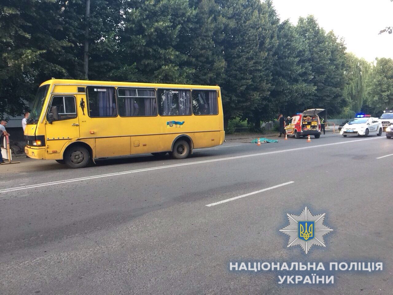 Парни погибли мгновенно: под Житомиром произошло ДТП с авто на "еврономерах"