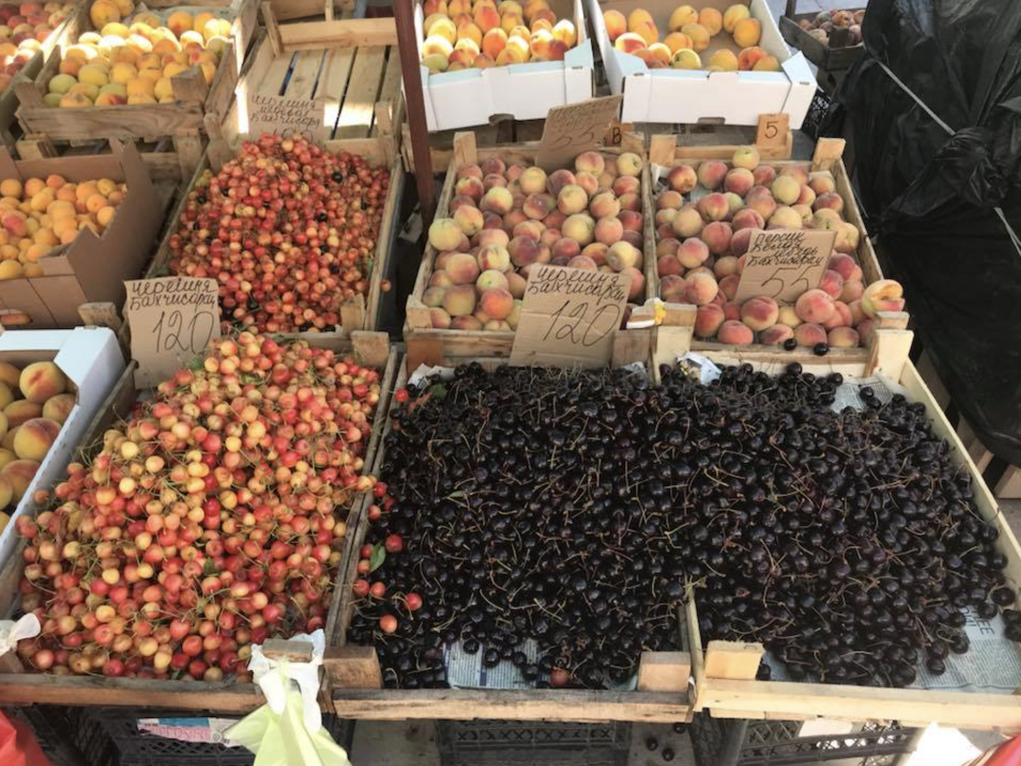 "Згниє від жадібності": в мережі показали захмарні ціни на фрукти в Криму