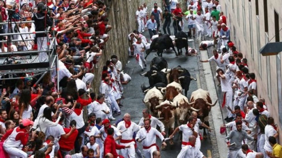 Не для вразливих: на іспанському фестивалі бики покалічили людей. Фото