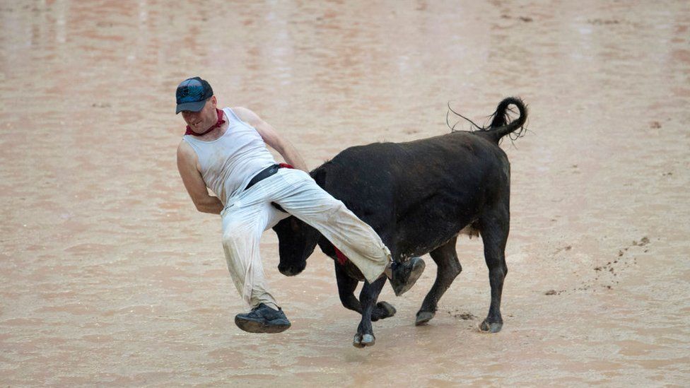 Не для слабонервных: на испанском фестивале быки покалечили людей. Фото