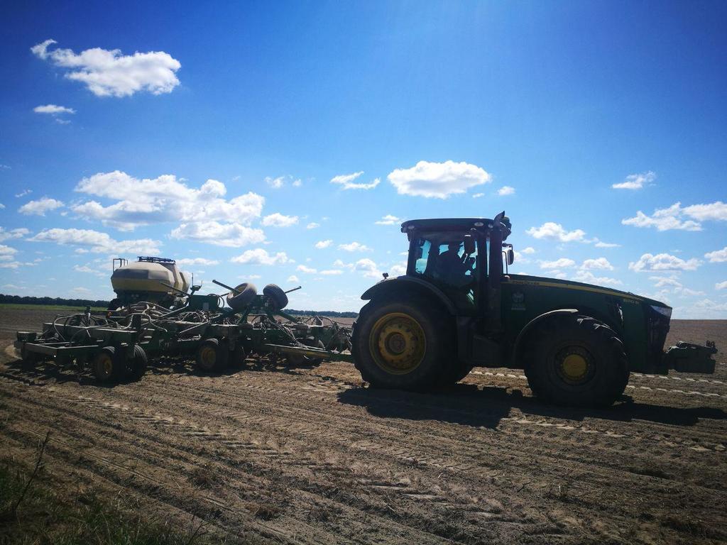 Украинские аграрии сообщили о победе: что с урожаем