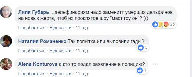 "Нашли заработок!" В сети рассказали, как наживаются на дельфинах в Украине