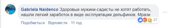 "Нашли заработок!" В сети рассказали, как наживаются на дельфинах в Украине