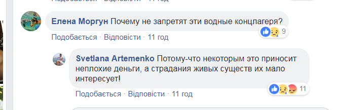 "Знайшли заробіток!" У мережі розповіли, як наживаються на дельфінах в Україні