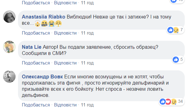 "Знайшли заробіток!" У мережі розповіли, як наживаються на дельфінах в Україні