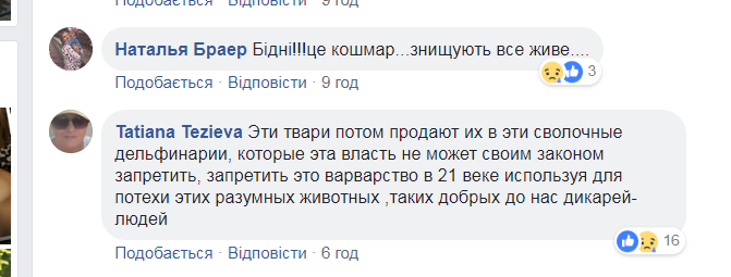 "Нашли заработок!" В сети рассказали, как наживаются на дельфинах в Украине