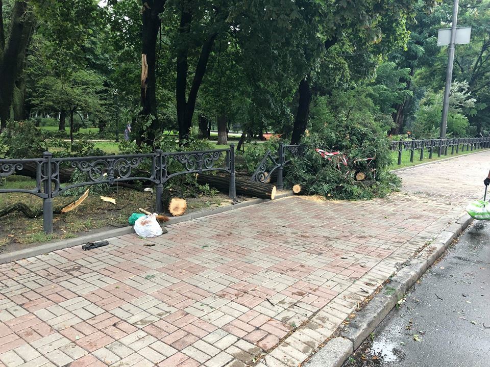 Утро после стихии: появились новые фото последствий шторма в Киеве
