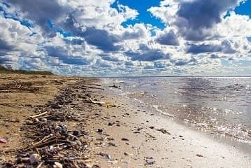 Опасность для туристов: в Одесской области запретили купаться в море