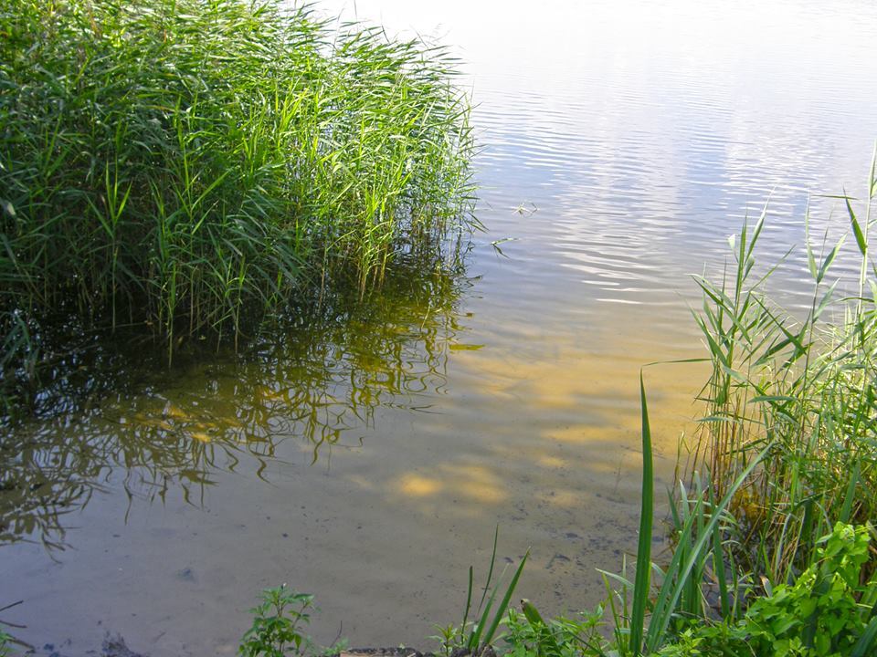 Самое чистое озеро Киева