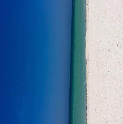 Пляж или дверь? Сеть взорвала новая оптическая иллюзия
