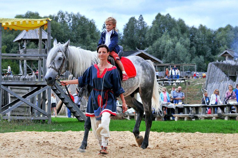 Под Киевом на выходных покажут конное шоу