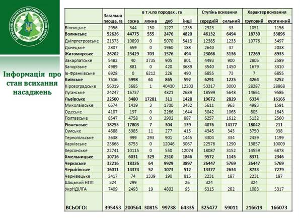 В Україні висихають ліси: озвучені моторошні масштаби проблеми