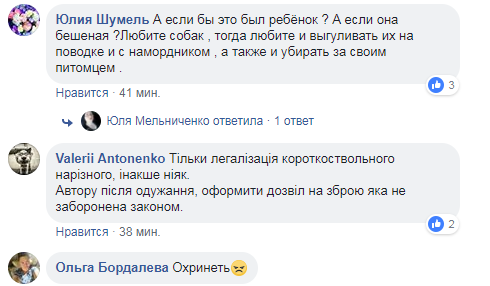 "Стрелять вместе с хозяином!" В Киеве бойцовская собака покалечила прохожего