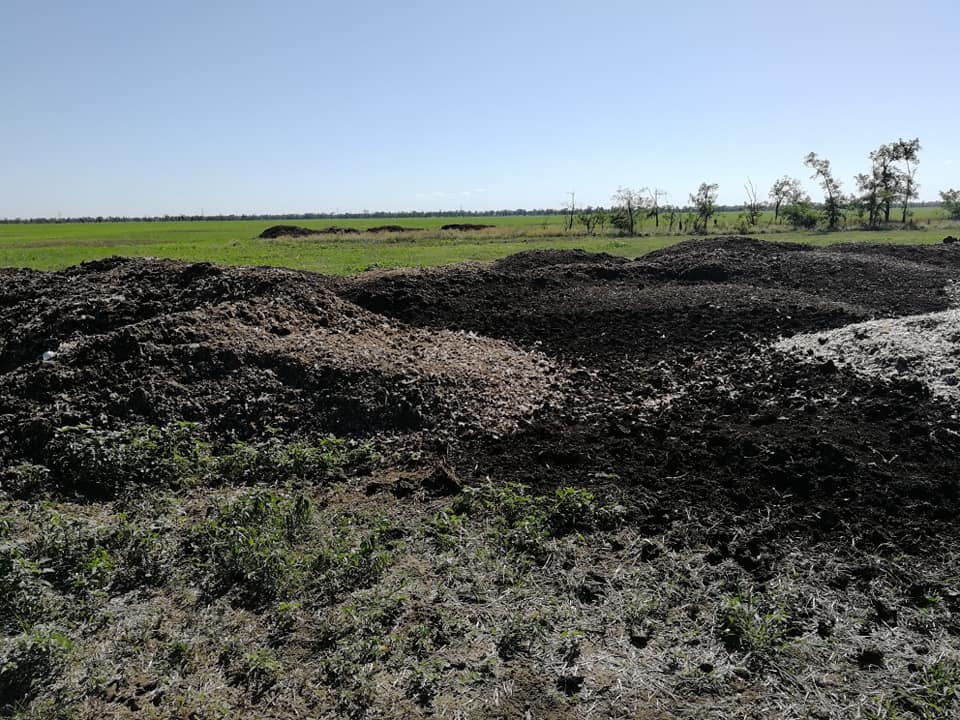 "Невозможно дышать": стала известна причина вони в Херсоне