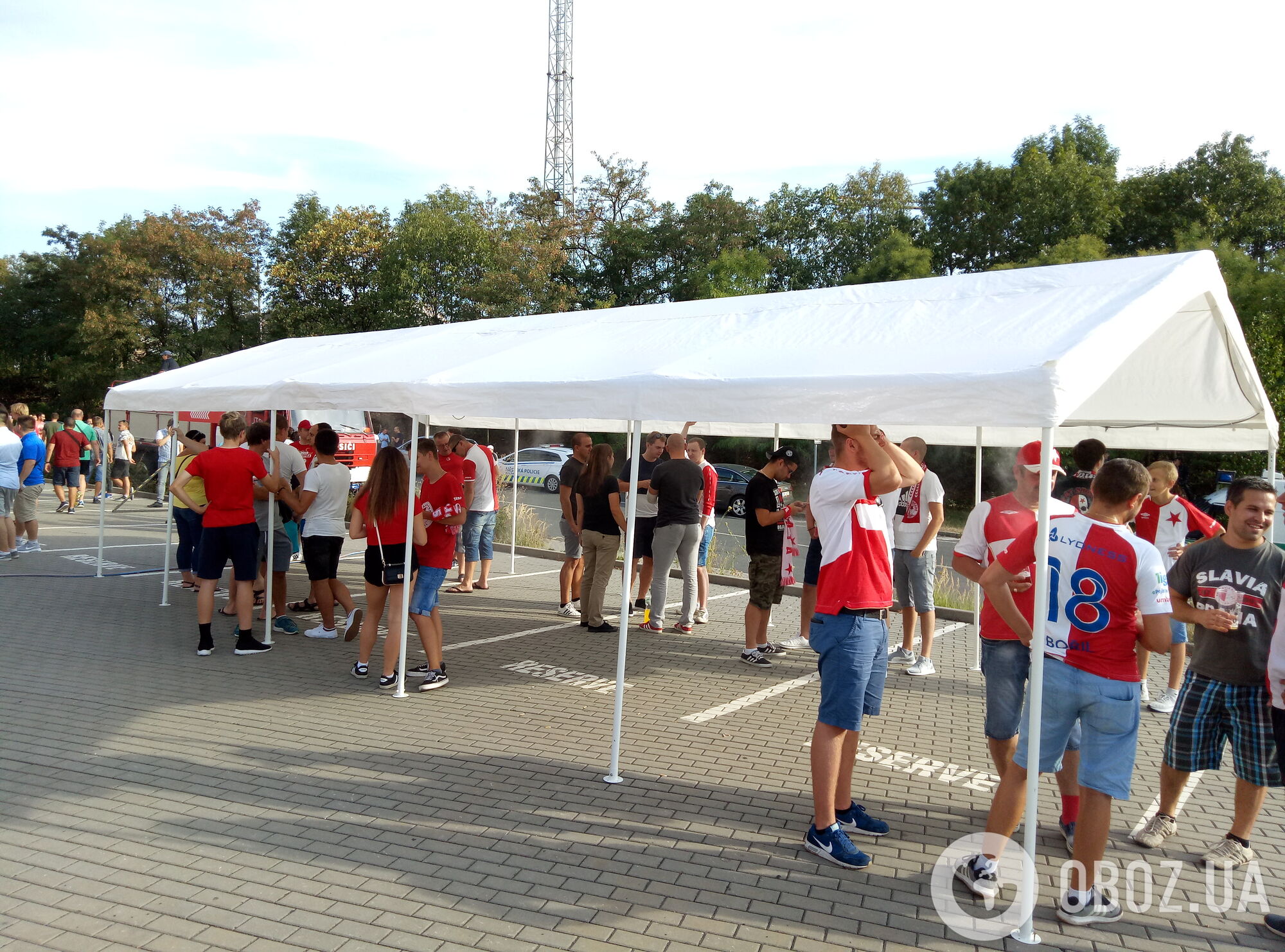 Осы и легенды: как "Динамо" начало Лигу чемпионов