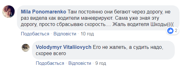 Сбил на глазах у ребенка: в Киеве произошло смертельное ДТП. Фото и видео 18+