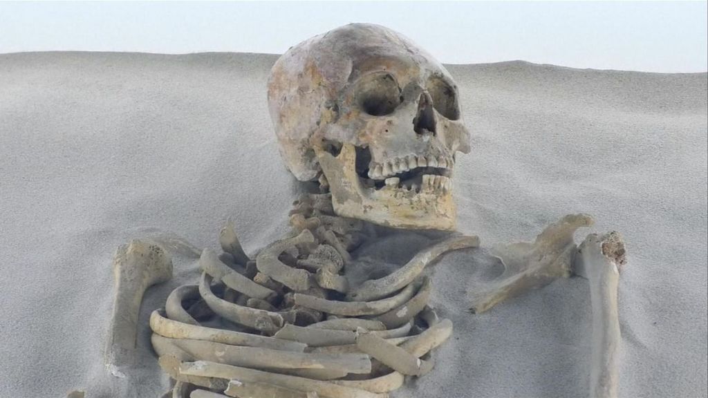 Нагадує "Чужого": вчені виявили незвичайний древній скелет