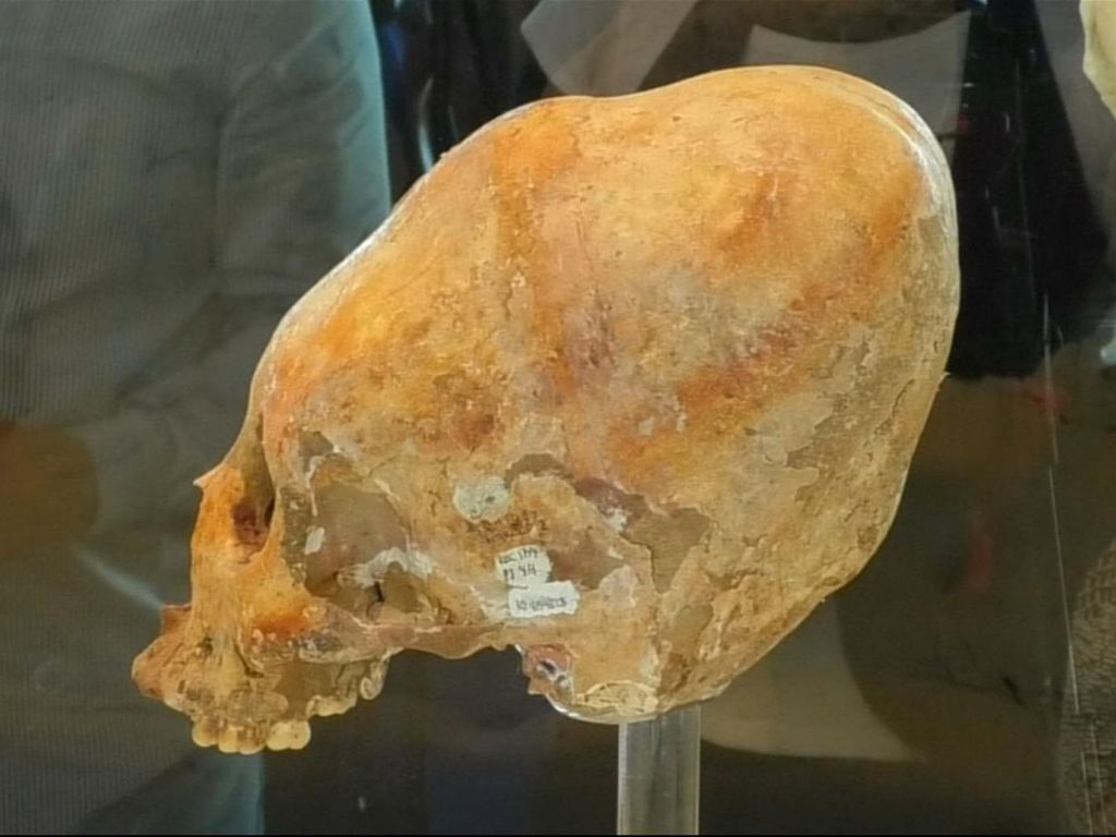 Нагадує "Чужого": вчені виявили незвичайний древній скелет