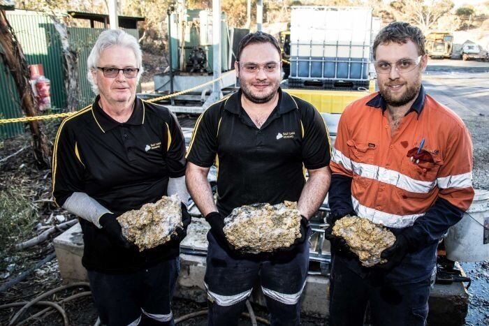 Находка на $10 млн: как в Австралии обнаружили огромный клад