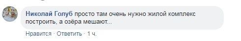 На озере в Киеве массово умерла рыба: что происходит