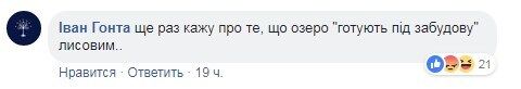 На озері в Києві масово померла риба: що відбувається