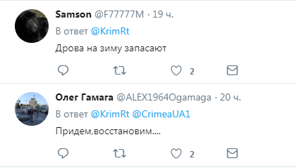 ''После них - хоть потоп'': оккупанты возмутили сеть ''лесоповалом'' в Крыму