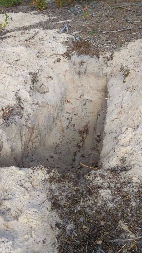 Відкриті труни й розриті ями: у лісі під Києвом виявили моторошну знахідку