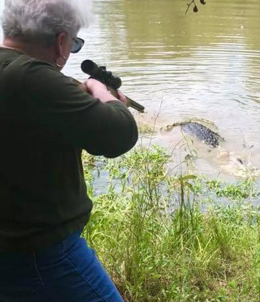 Техаська стрільба з гвинтівки: бабуся-мер застрелила 3-метрового алігатора, який з'їв її поні