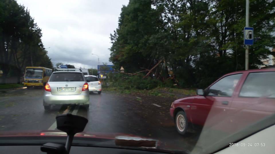 Затори та повалені дерева: з'явилися фото наслідків грози у Львові