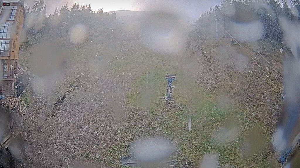 РУкÑаÑÐ½Ñ Ð²Ð¸Ð¿Ð°Ð² пеÑÑий ÑнÑг: ÑоÑоÑакÑ