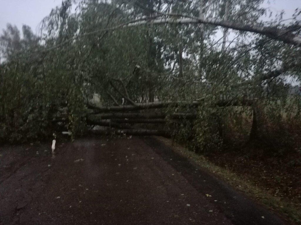 На Европу обрушился мощный ураган: опубликованы фото и видео