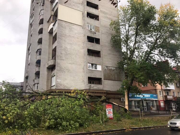  Рвала и метала: запад Украины накрыла разрушительная стихия. Фото и видео последствий