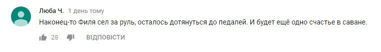 "Який красень": в Криму лев заліз в машину до туристів