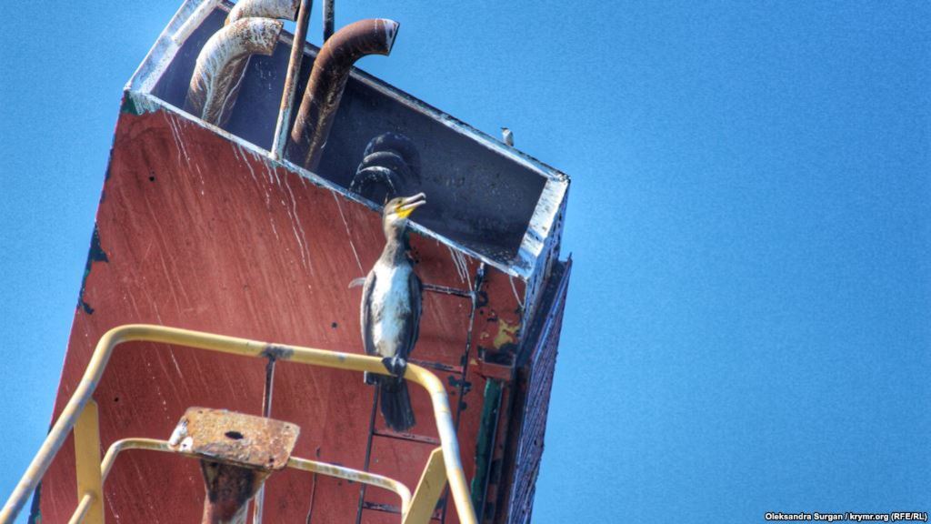 Затонувшее судно в Крыму: появились яркие фото с места кораблекрушения