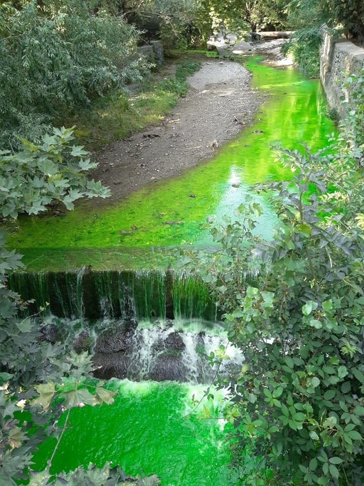 Река позеленела: в Крыму назревает экологическая катастрофа