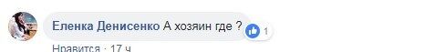 ''А где хозяин?'' В Киеве заметили необычное животное